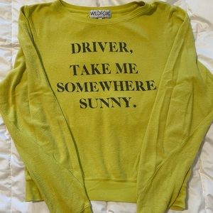 Wildfox sweater